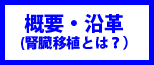 ボタン１